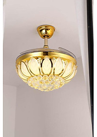 product-img-5