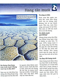 Sách Khám Phá Biển (Tái Bản 2019)