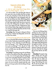 product-img-17
