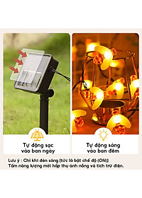 product-img-9