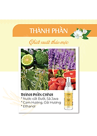 Xịt nhà bếp tinh dầu 24CARE 50ml/100ml/250ml - Xịt lau chùi bếp, bề mặt bị dính bẩn, diệt bề mặt dính vi khuẩn, không khí chứa vi khuẩn.