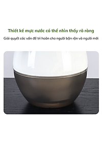 Chậu tự tưới MONROVIA I0 dành cho hoa, cây cảnh, trang trí nhà cửa, văn phòng