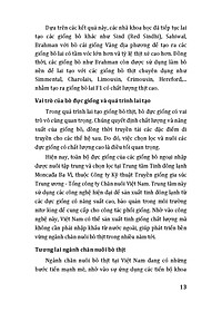 product-img-11