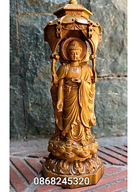 product-img-1