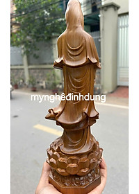product-img-2
