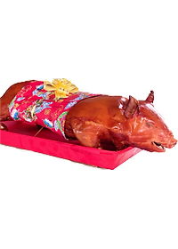 product-img-6
