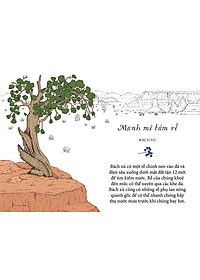 Sống Như Những Cái Cây - Những Bài Học Nhỏ Để Có Nguồn Hạnh Phúc Bất Tận (Tái Bản 2021)