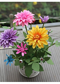 product-img-4