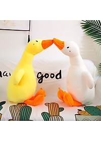 product-img-10