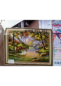 product-img-3