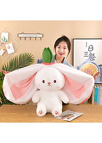 product-img-10