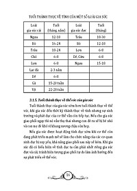product-img-11
