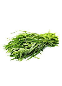 product-img-10