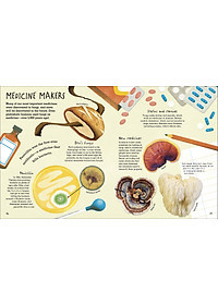 product-img-5
