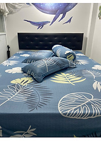 Bộ Drap Thun Lụa _Mát Lạnh {4 MÓN} ga và 3 áo gối #gagoi#drapgoi hoặc drap lẻ /.