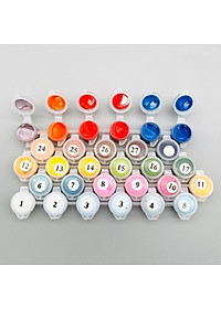 Tranh sơn dầu số hóa tự tô màu theo số cô gái hoa rơi lệ AN4008