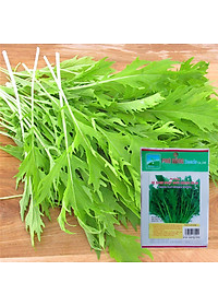 Hạt Giống Cải Bẹ Xanh Đuôi Phụng Phú Nông Gói 10 Gram