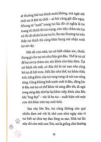 product-img-5