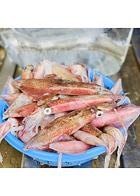 Mực Ghim Khay 500g