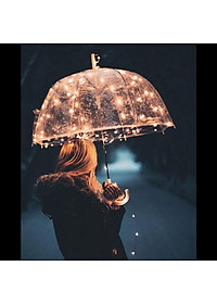 Dây đèn đom đóm dùng pin Fairy Lights