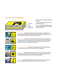 Nhãn In Tiêu Chuẩn TZE Brother Tze-651 Chữ Đen Trên Nền Vàng (24mm) - Hàng Chính Hãng