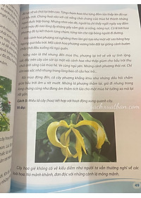 Sách Chiến thuật Viết văn tiểu học Tập 1