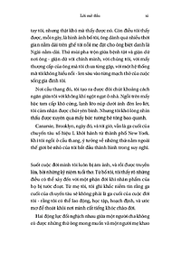 product-img-10
