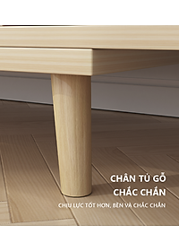 Kệ Tivi Phòng Khách Thiết Kế Hiện Đại Sang Trọng Thay Đổi Được Kích Thước Thương Hiệu IGA - GP218