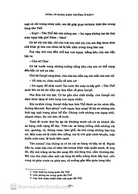 product-img-11