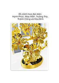 product-img-4
