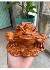 Cóc ngậm tiền phong thủy bằng gỗ hương kt 20×12×14cm