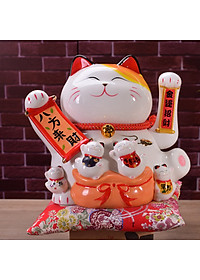 product-img-1