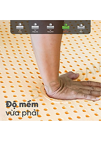 Nệm Cao Su Một Mặt Lỗ Đồng Phú DPCS1615 (160 x 200 x 15 cm)