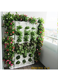 product-img-12