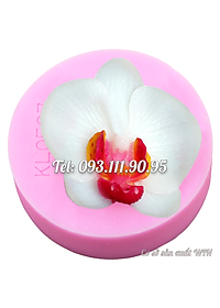 product-img-7