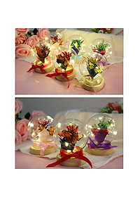 product-img-4