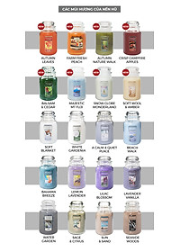 Nến hũ Yankee Candle size L - Autumn Leaves (623g)