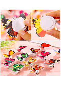 product-img-9