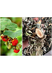 Trà túi lọc Lá mâm xôi rừng- Làm đẹp niêm mạc, hỗ trợ thả tự nhiên và chuyển phôi ivf, iui