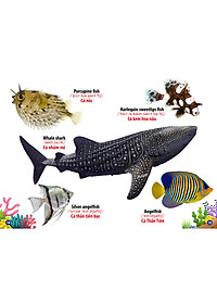 Từ Điển - Thư Viện Song ngữ Đầu Tiên của Bé - Thế Giới Động Vật - Động Vật Dưới Nước ( bộ 2 cuốn)
