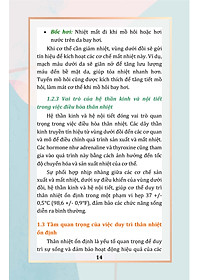 product-img-10