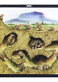 Sách Di Chuyển Và Di Cư