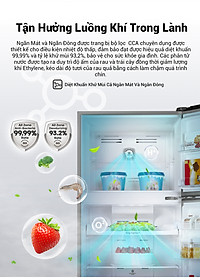 product-img-8