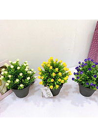 product-img-7