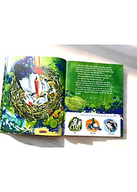 product-img-5