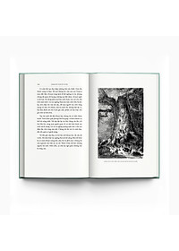 product-img-5