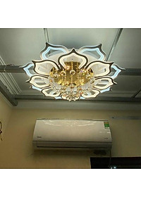 product-img-1