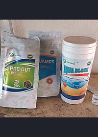 product-img-3