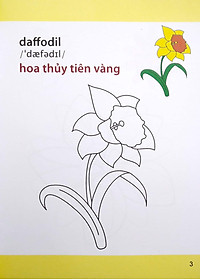 product-img-4