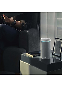 Loa thông minh OLLI MAIKA - Xám Thời Thượng - Hàng Chính Hãng